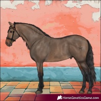 Horse Color:Bay Dun
