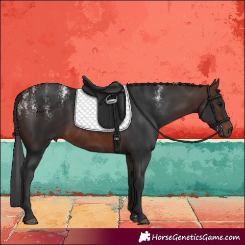 Horse Color:Powder White Brown 