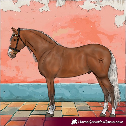 Horse Color:Silver Bay 