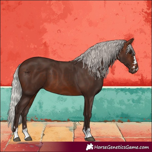 Horse Color:Silver Brown 