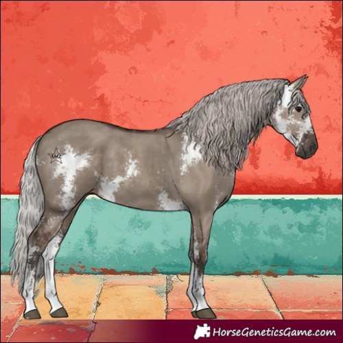 Horse Color:Silver Grullo Sabino 