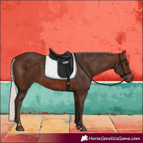 Horse Color:Silver Brown