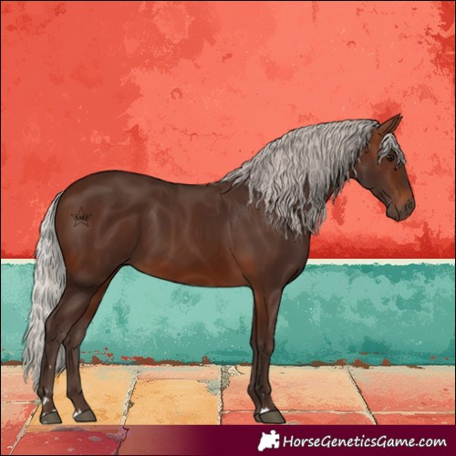 Horse Color:Silver Brown 
