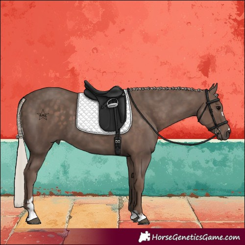 Horse Color:Silver Black