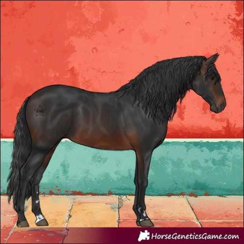Horse Color:Brown 