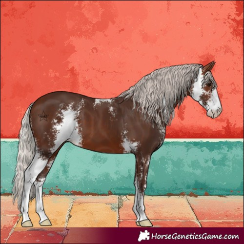 Horse Color:Silver Brown Sabino 
