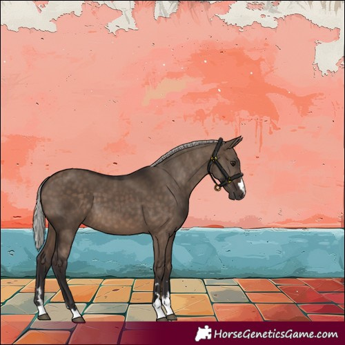 Horse Color:Silver Brown Dun 