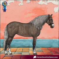 Horse Color:Silver Brown Dun 