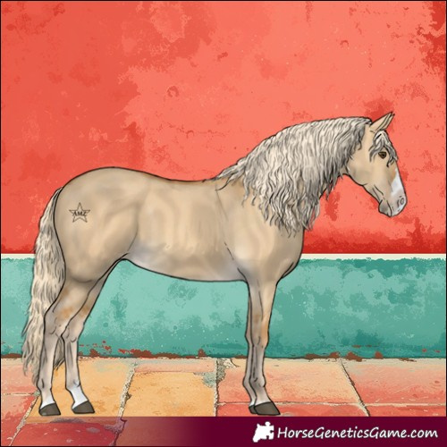Horse Color:Palomino Dun Splash 