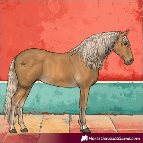 Horse Color:Palomino 
