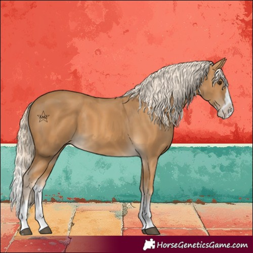 Horse Color:Palomino Splash 