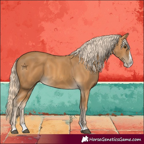 Horse Color:Palomino Splash 