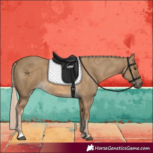 Horse Color:Chocolate Palomino Dun