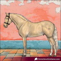 Horse Color:Palomino Dun 