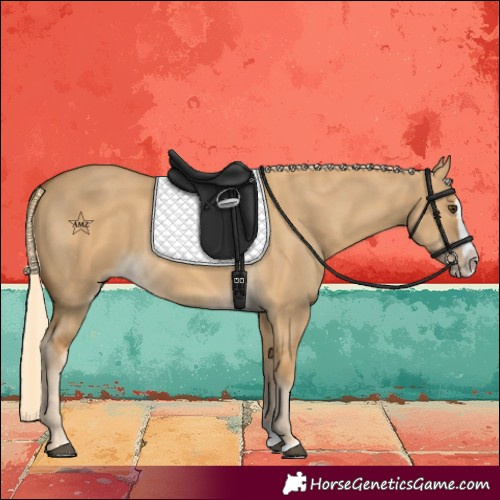 Horse Color:Palomino Dun Splash