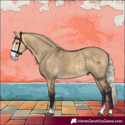 Horse Color:Silver Buckskin Dun Sabino 