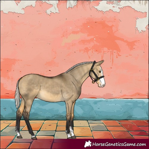 Horse Color:Silver Buckskin Dun Sabino