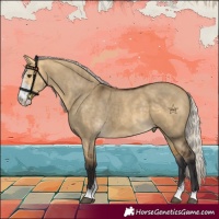 Horse Color:Silver Buckskin Dun Sabino 