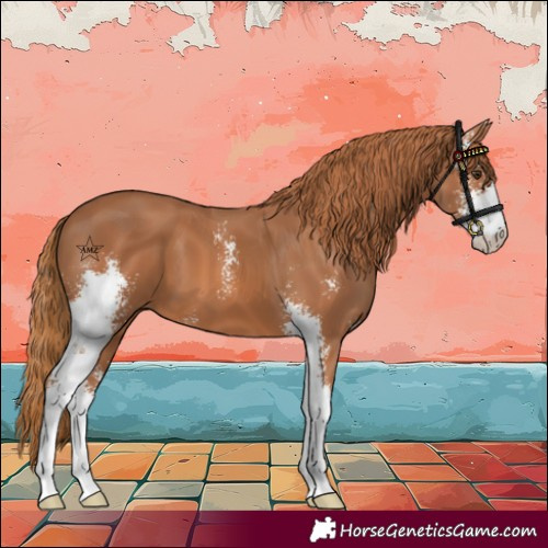 Horse Color:Chestnut Sabino