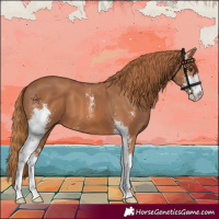Horse Color:Chestnut Sabino 