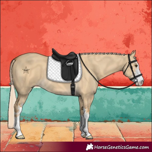 Horse Color:Palomino Dun Sabino