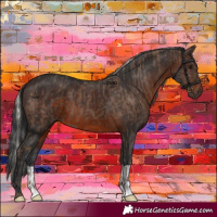 Horse Color:Silver Black  and Brown 