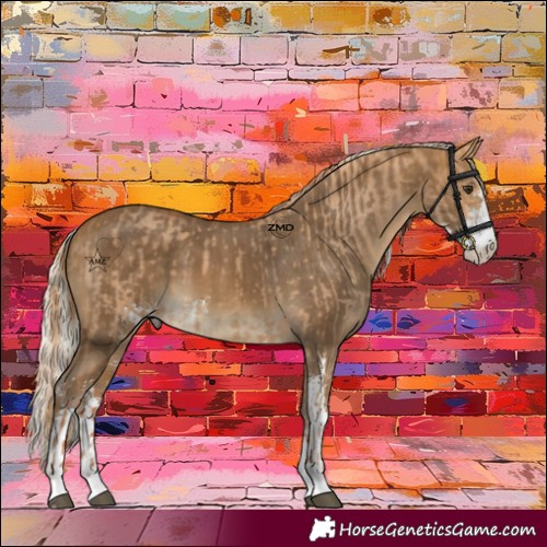 Horse Color:Red Dun Sabino  and Silver Buckskin Sabino 