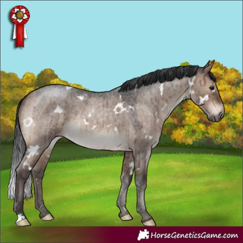 Horse Color:White Spotted Brown Roan Dun Brindle