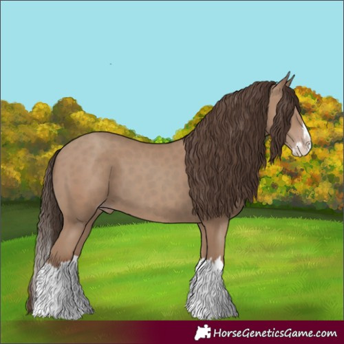 Horse Color:Classic Champagne Splash