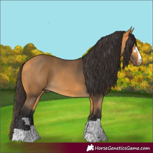 Horse Color:Buckskin