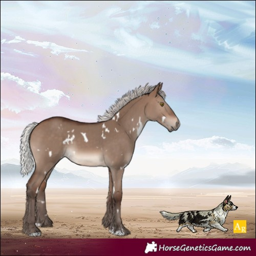 Horse Color:White Spotted Silver Brown Dun Mushroom
