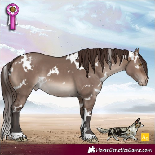 Horse Color:White Spotted Brown Dun Mushroom Blanket 