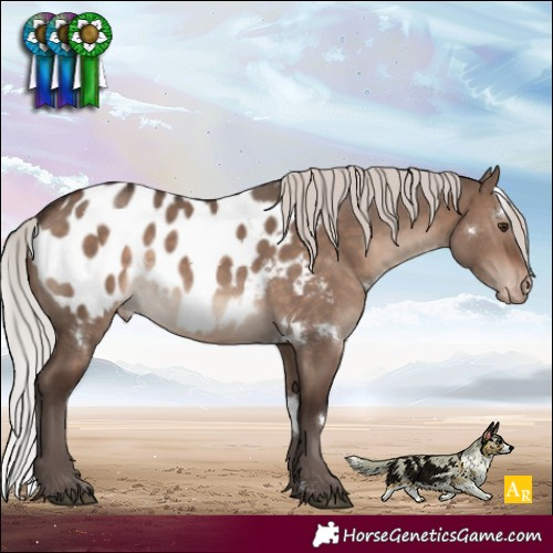 Horse Color:White Spotted Silver Brown Dun Mushroom Near Leopard 