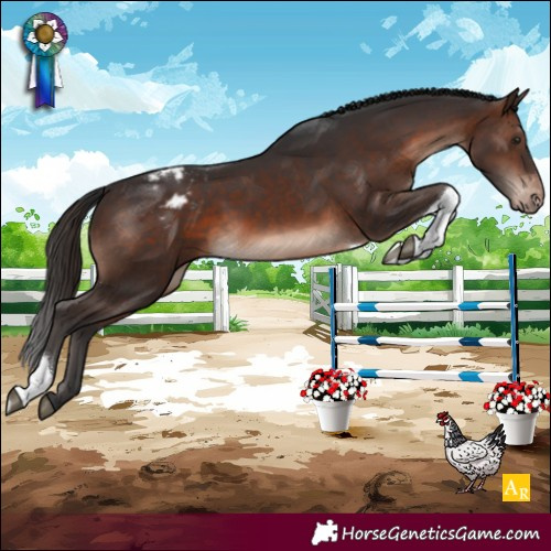 Horse Color:Brown Mushroom Tobiano Blanket Rabicano
