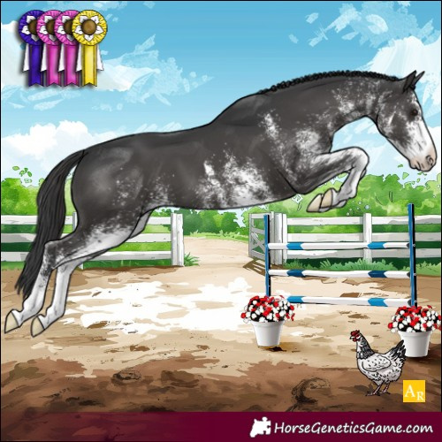 Horse Color:White Spotted Black 