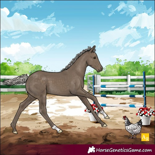 Horse Color:Silver Smoky Black Mushroom