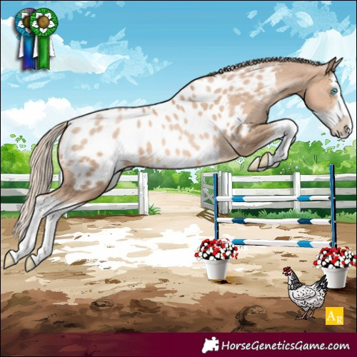 Horse Color:Chocolate Palomino Pearl Splash Blanket