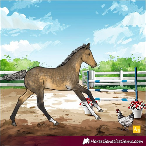 Horse Color:Silver Buckskin Dun Tobiano
