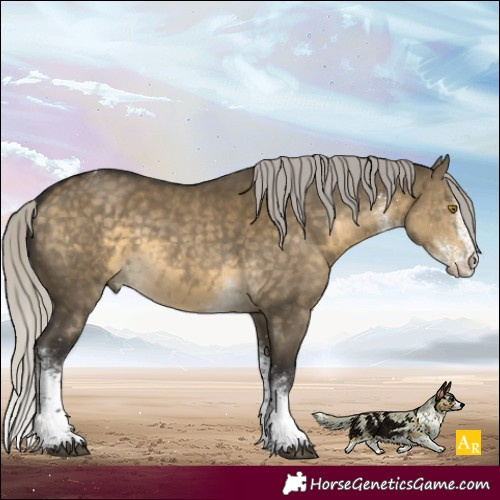 Horse Color:White Spotted Silver Buckskin Dun Tobiano 