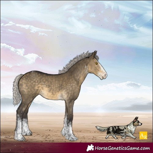 Horse Color:White Spotted Silver Buckskin Dun Tobiano