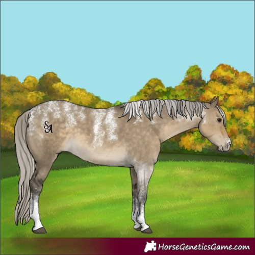 Horse Color:Powder White Silver Smoky Grullo 