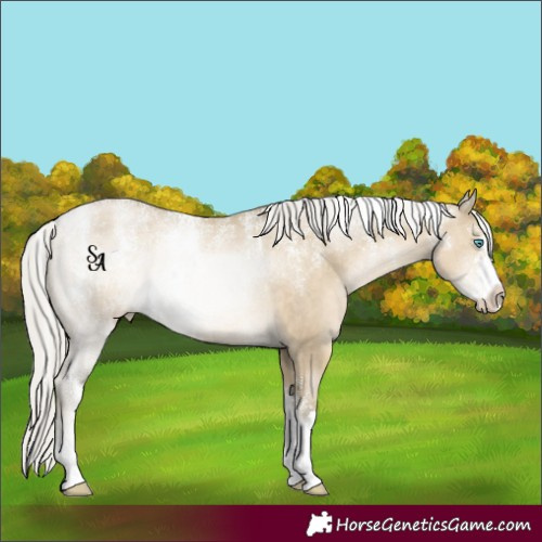 Horse Color:Powder White Silver Smoky Grullo Pearl Rabicano 