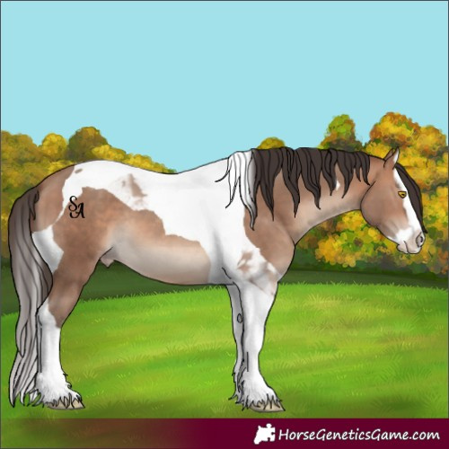 Horse Color:Sable Champagne Splash Tobiano 