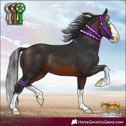 Horse Color:Brown Splash