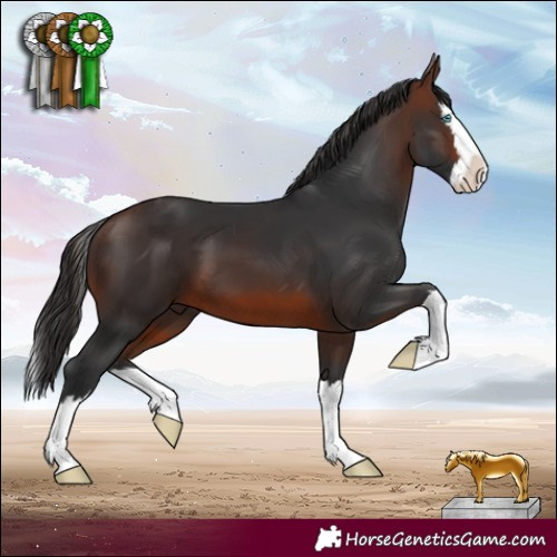 Horse Color:Brown Splash