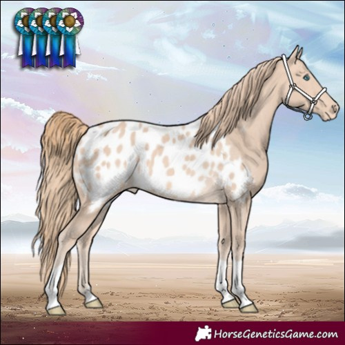 Horse Color:Perlino Blanket 