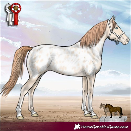Horse Color:Sable Cream Champagne Pearl Tobiano Blanket 
