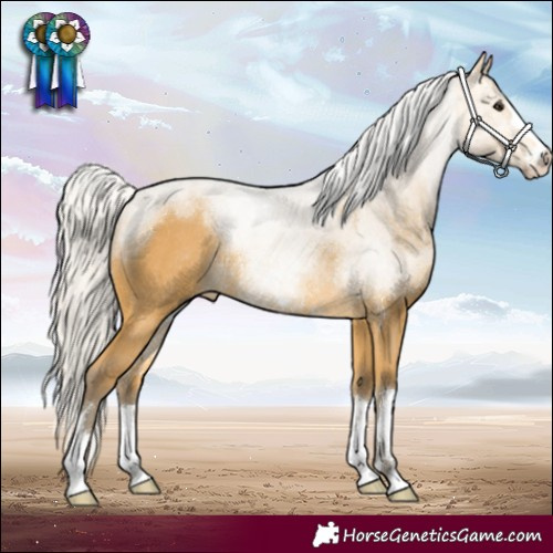 Horse Color:Silver Buckskin Rabicano 