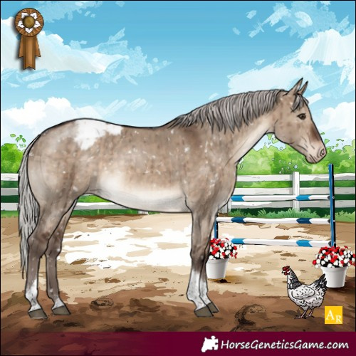 Horse Color:Silver Brown Dun Tobiano Snowcap Brindle 