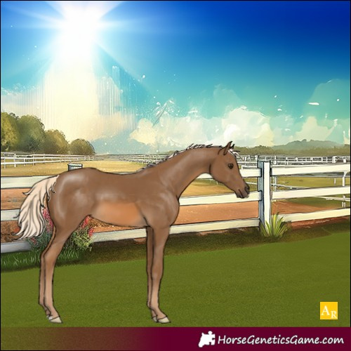 Horse Color:Chocolate Palomino 